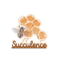 SucculenceSkyn LLC